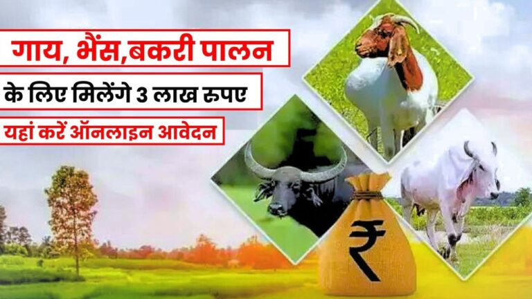 pashu kisan credit card yojana